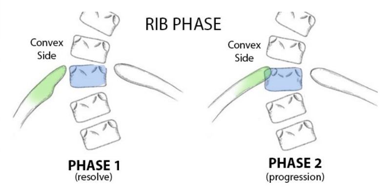 Classification / diagram