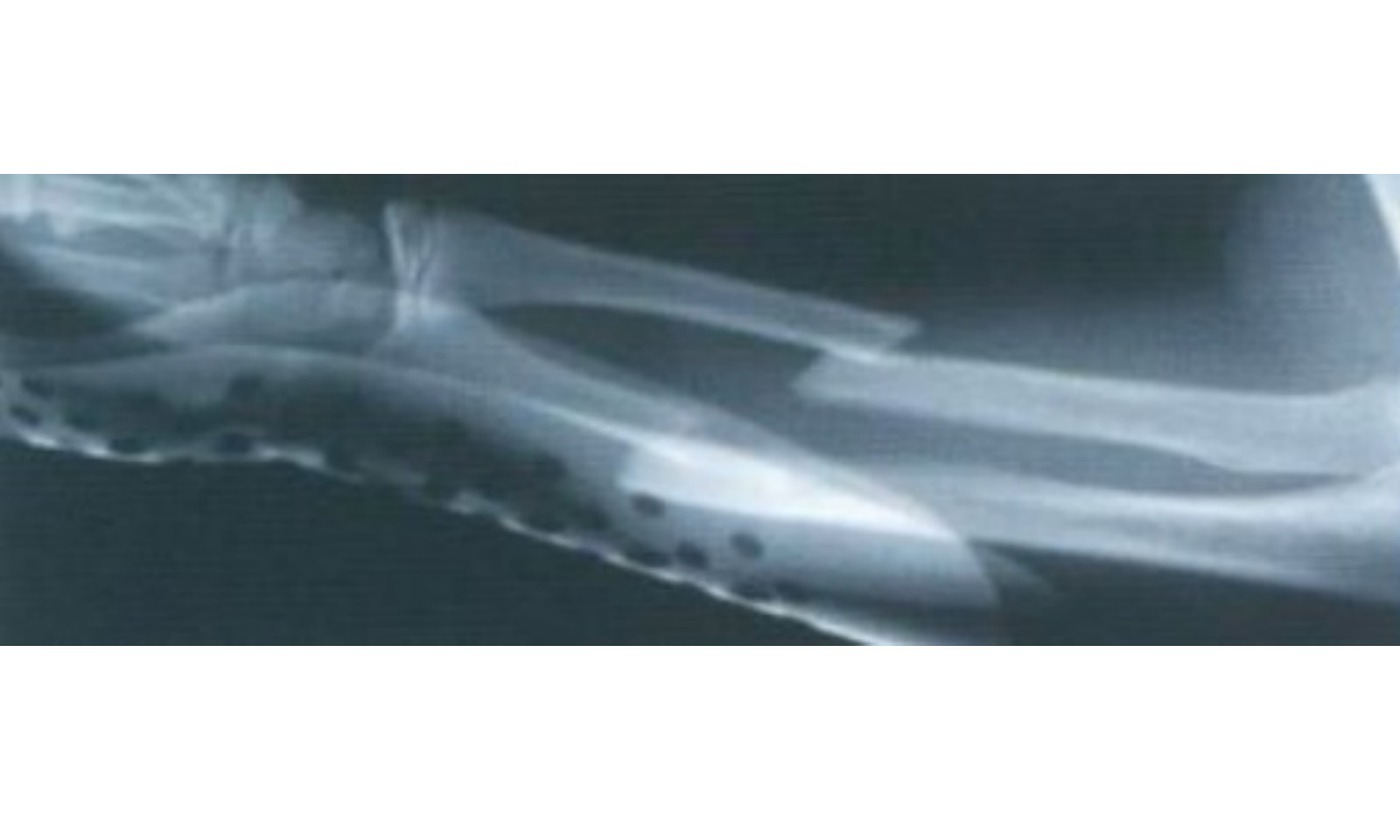 Clinical photograph