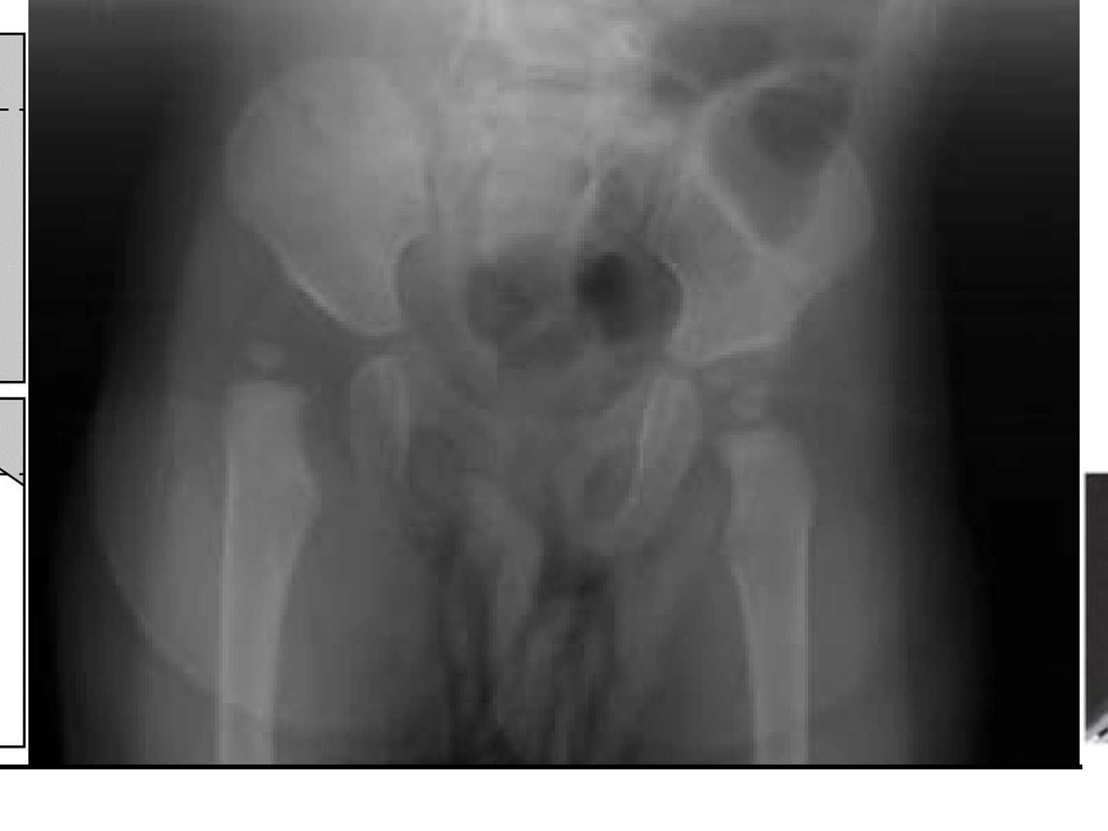 Slide 7 thumbnail
