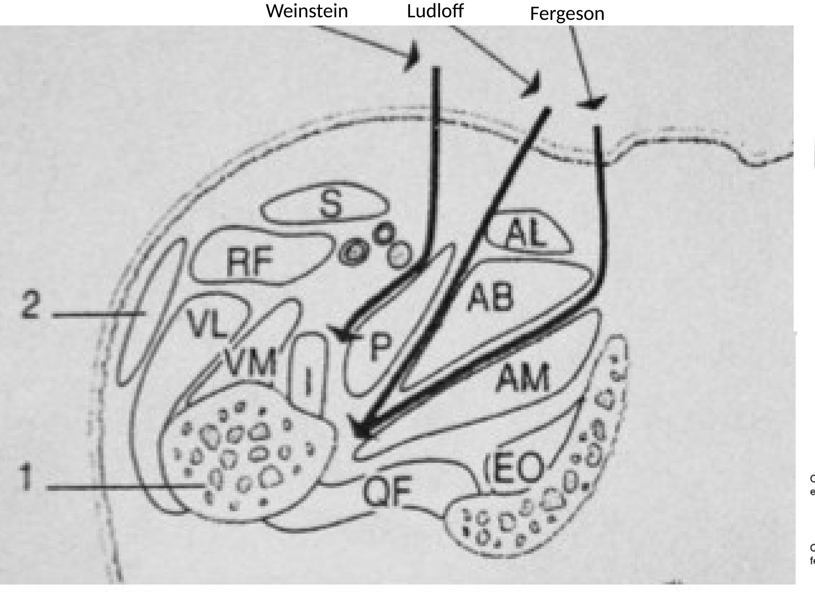 Slide 10 thumbnail