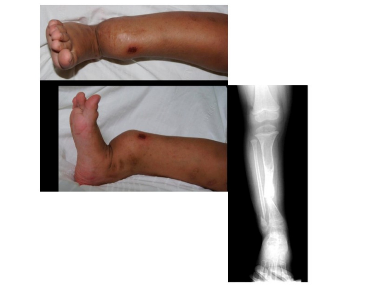 Slide 24 thumbnail