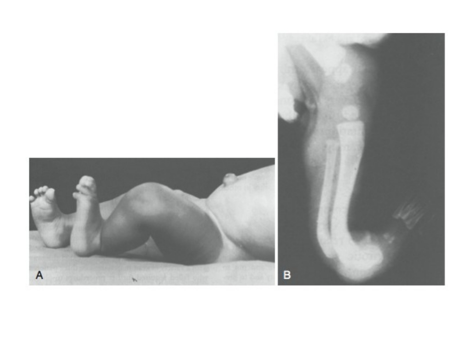 Slide 26 thumbnail