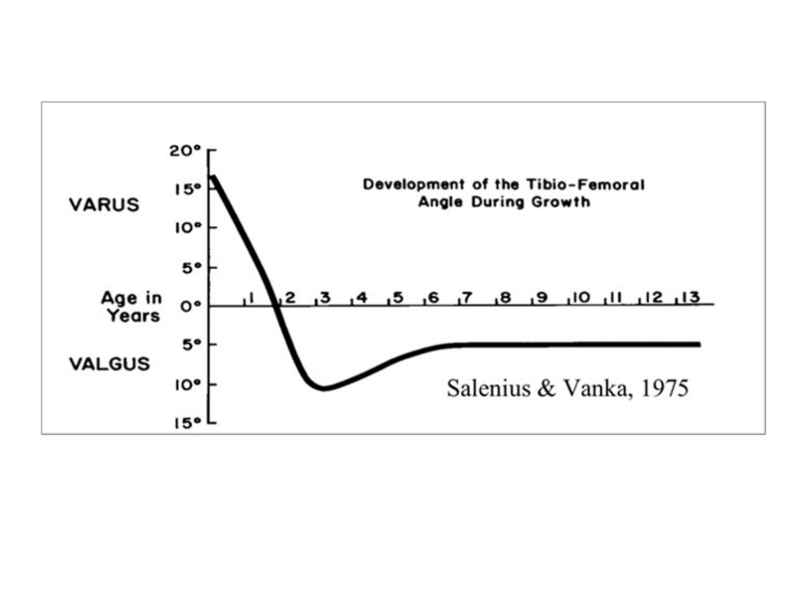 Slide 31 thumbnail