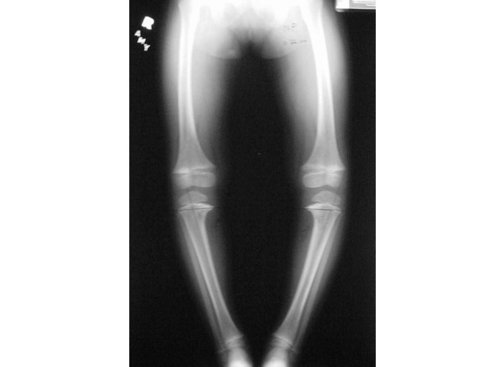Slide 33 thumbnail