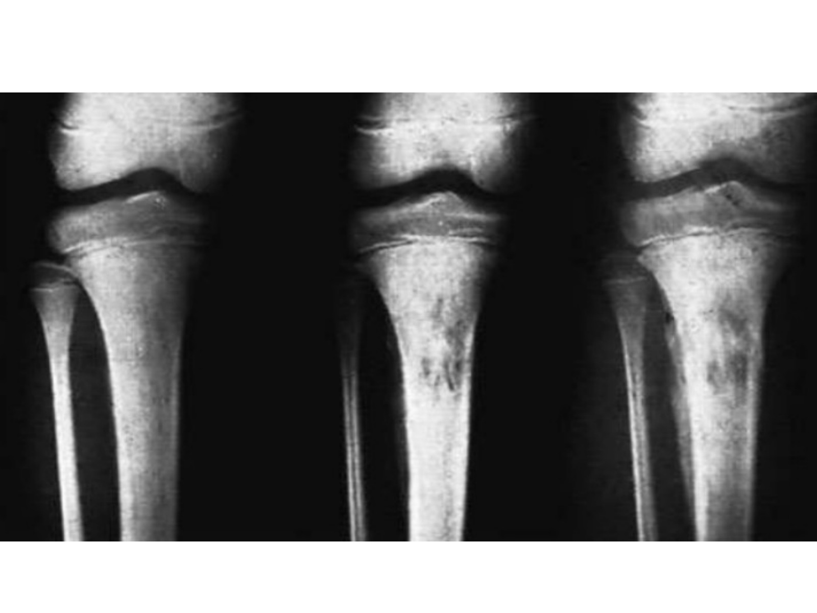 Slide 49 thumbnail