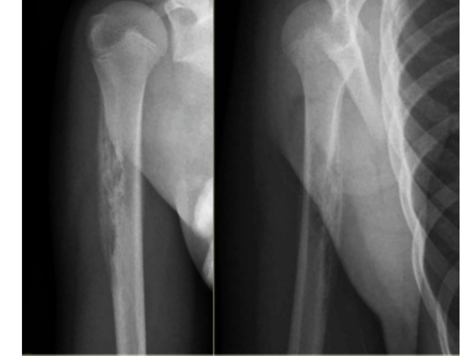 Slide 51 thumbnail