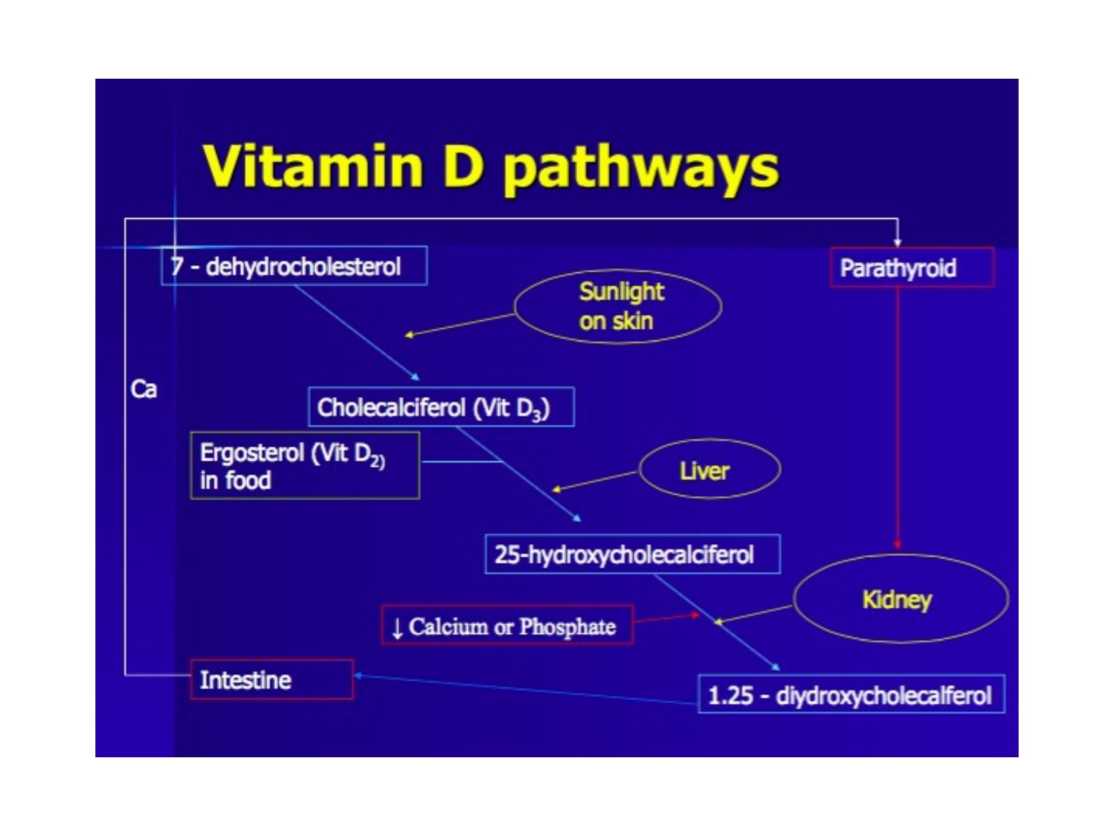 Slide 56 thumbnail