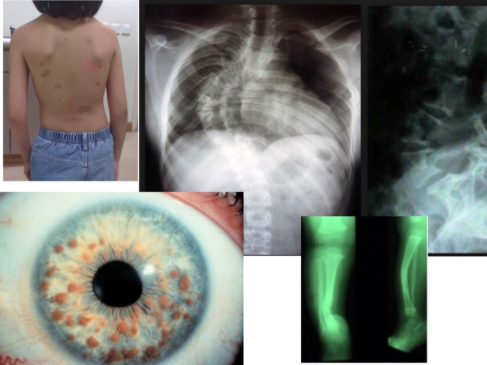 Slide 63 thumbnail