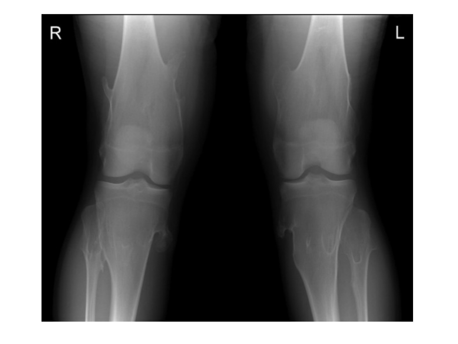 Slide 66 thumbnail