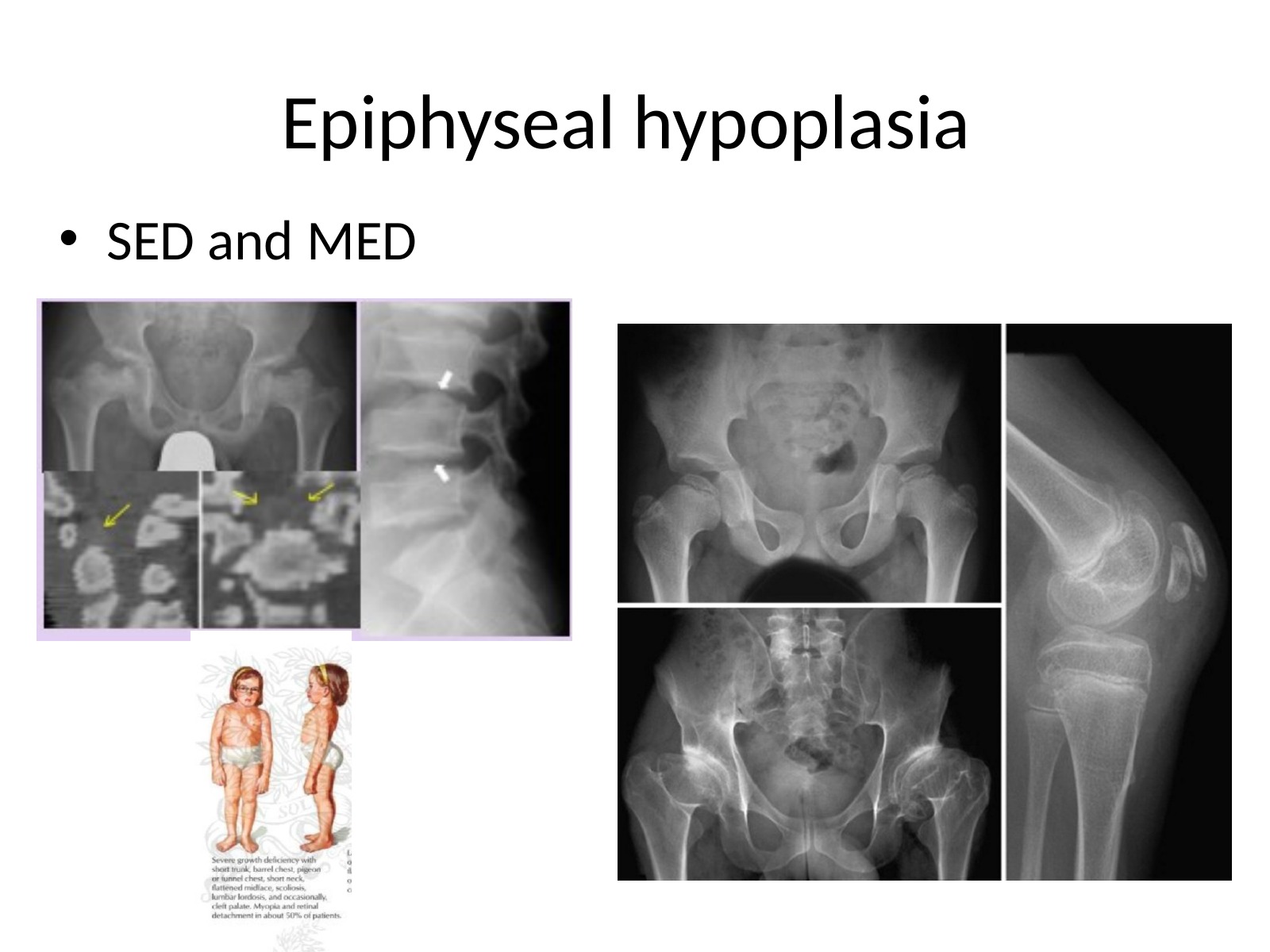 Slide 74 thumbnail