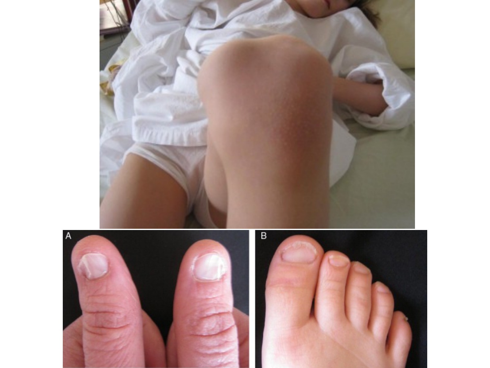 Slide 79 thumbnail