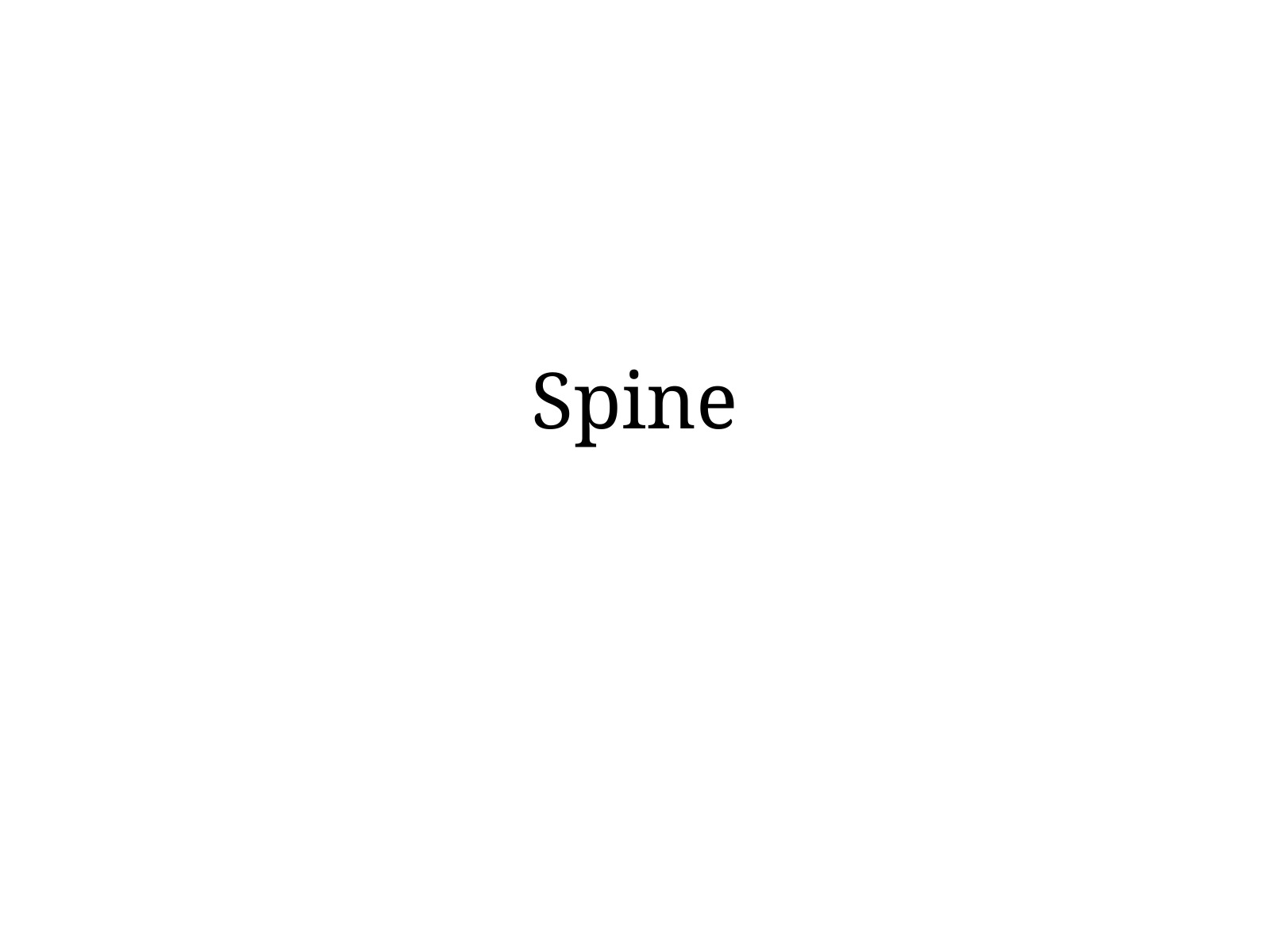 Slide 81 thumbnail