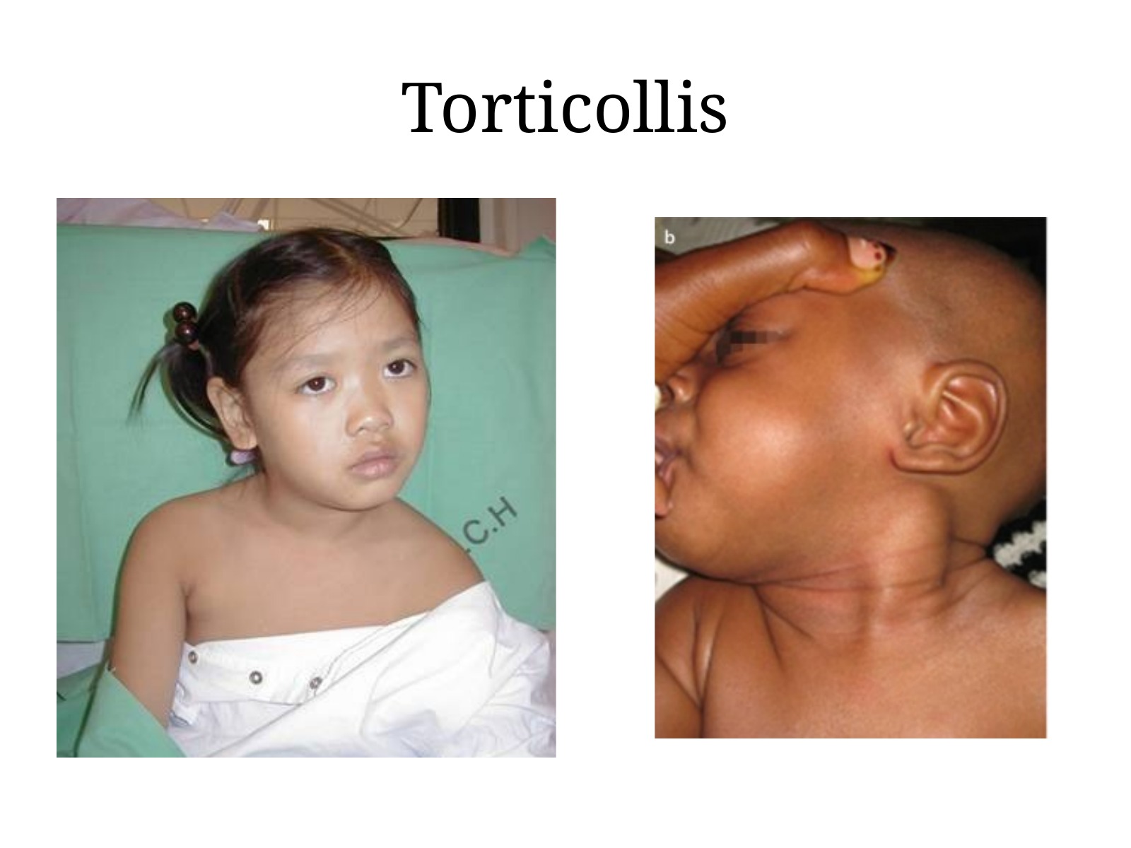 Slide 82 thumbnail