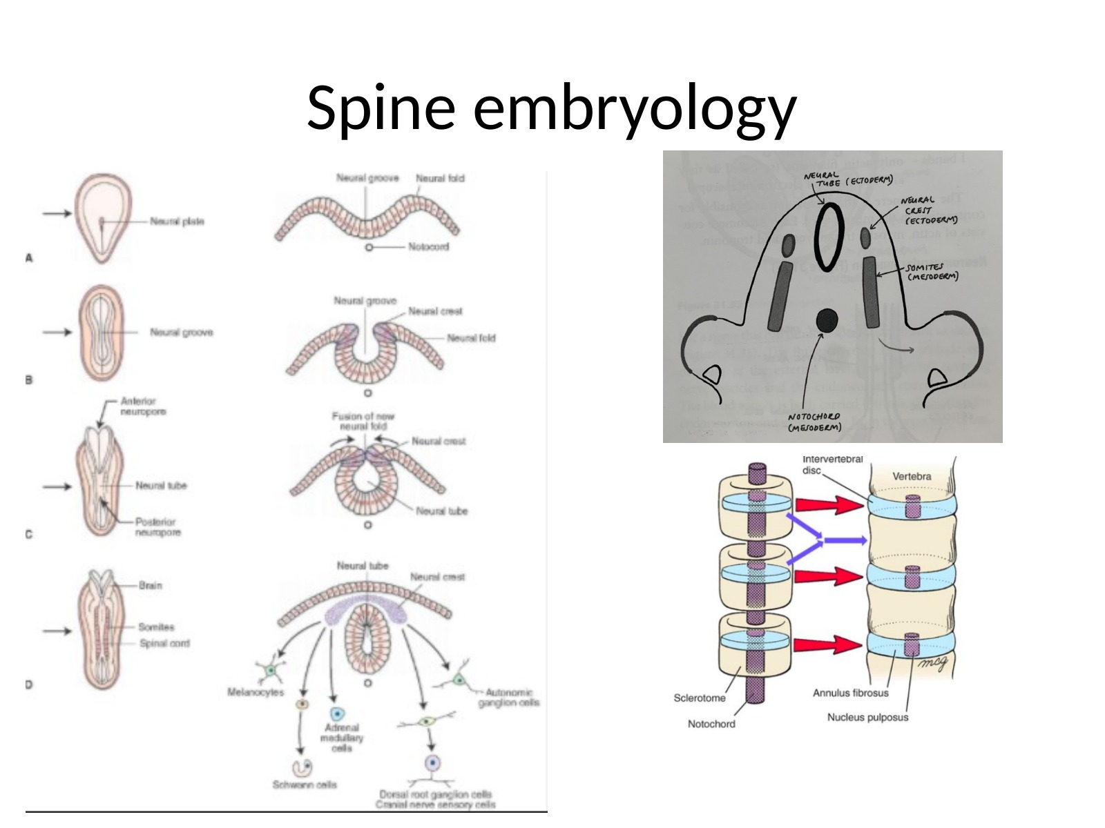 Slide 94 thumbnail