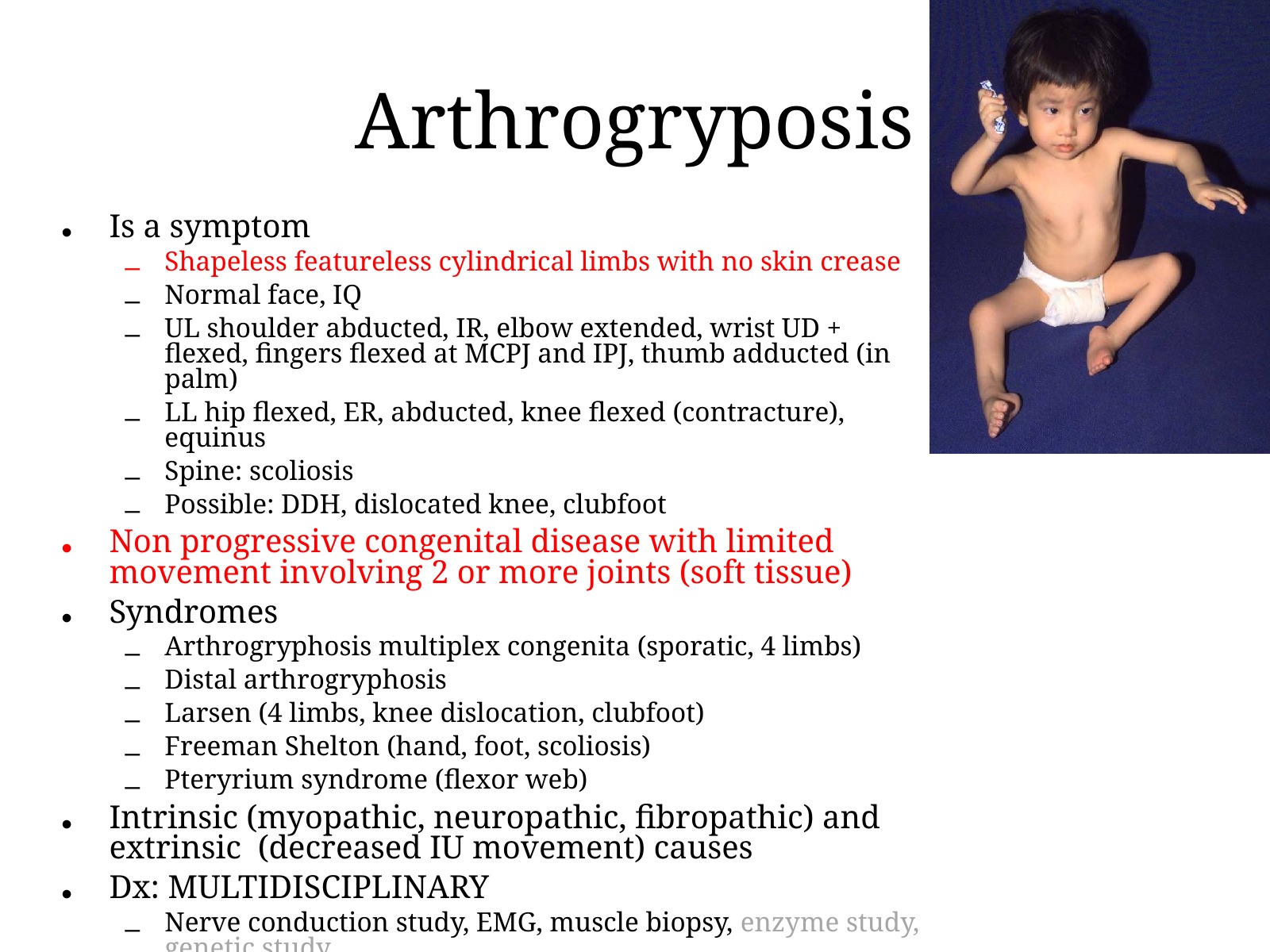 Slide 96 thumbnail