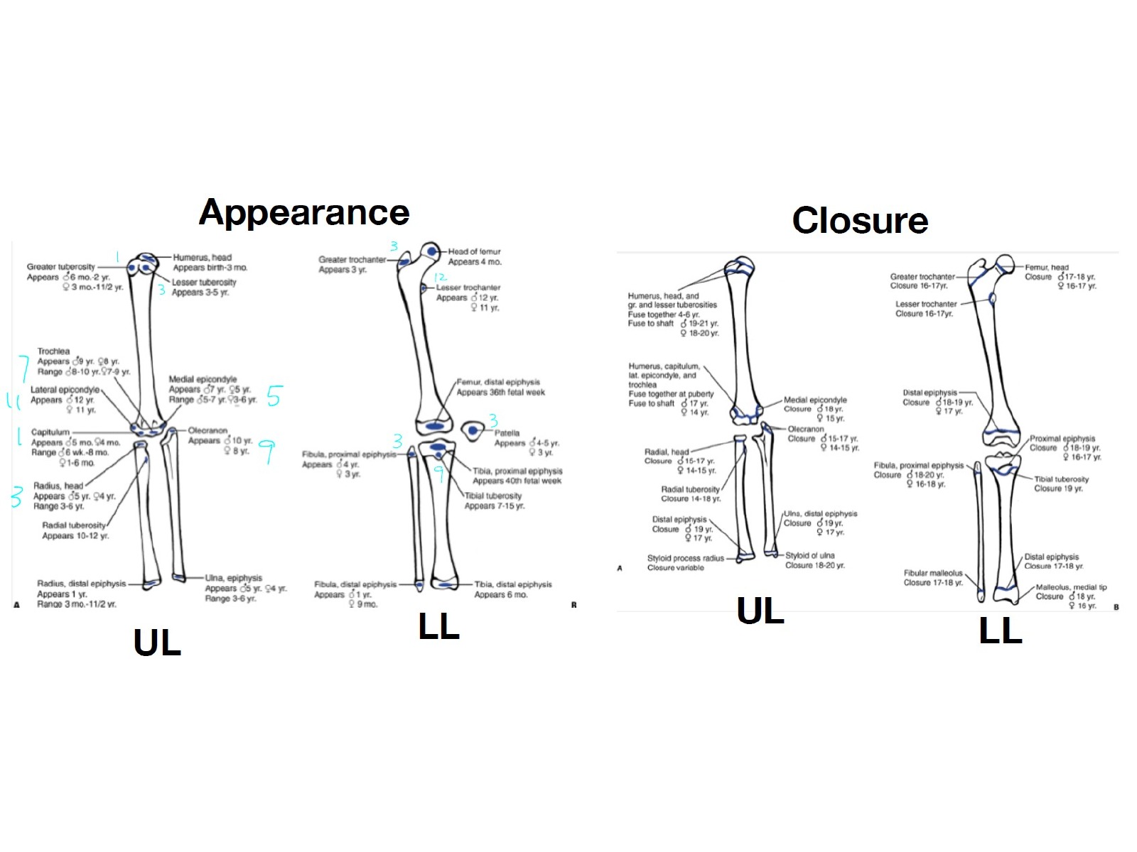 Slide 113 thumbnail