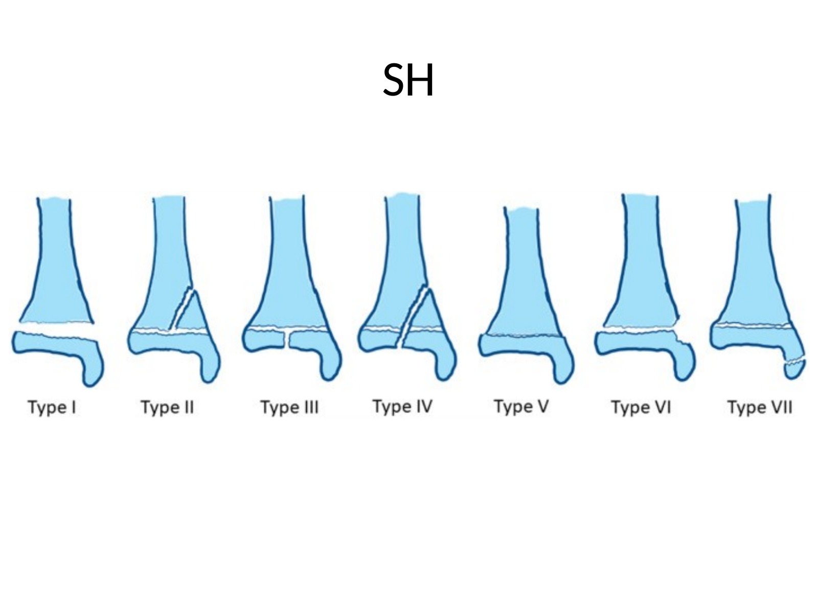 Slide 114 thumbnail