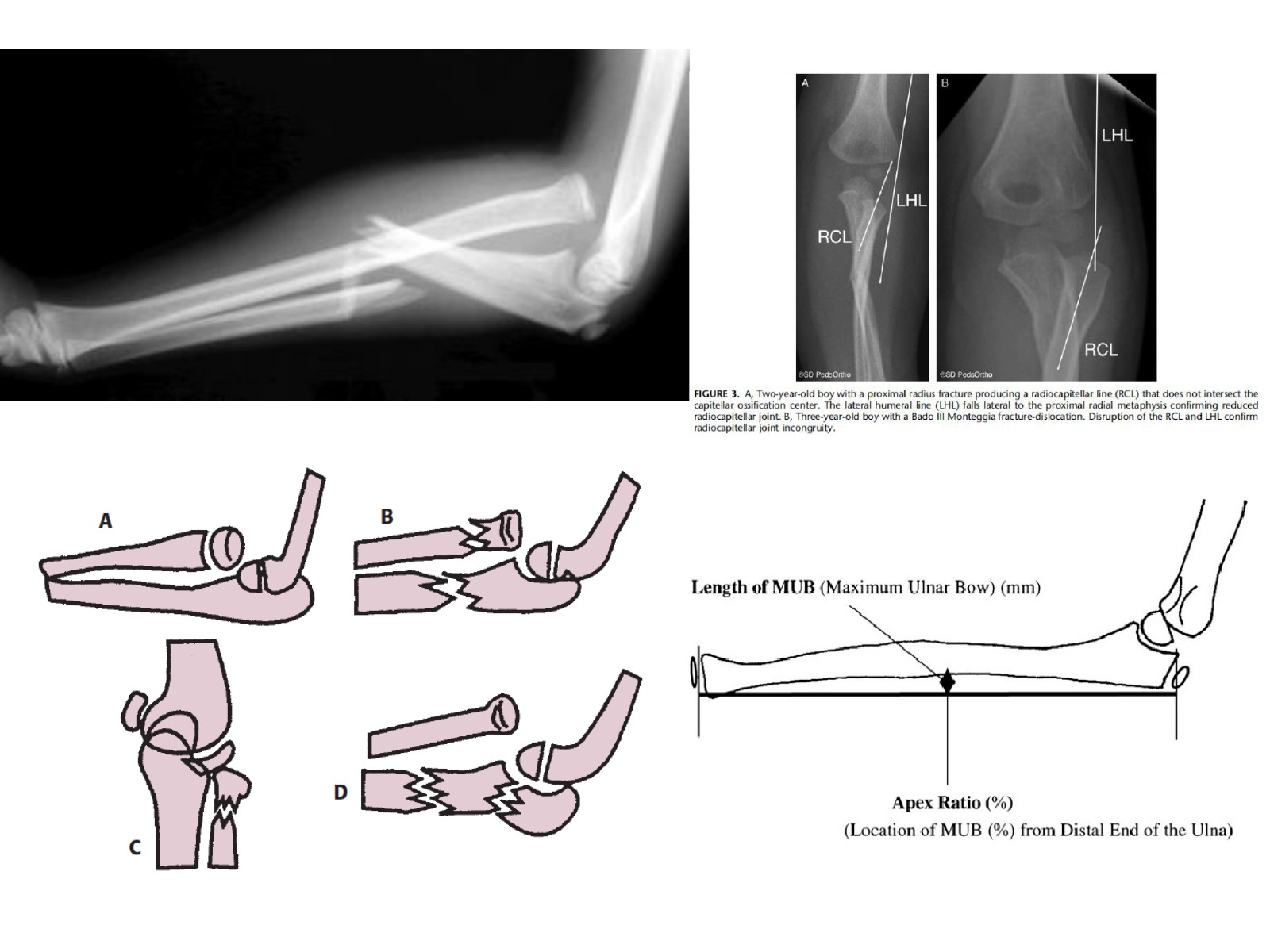 Slide 124 thumbnail