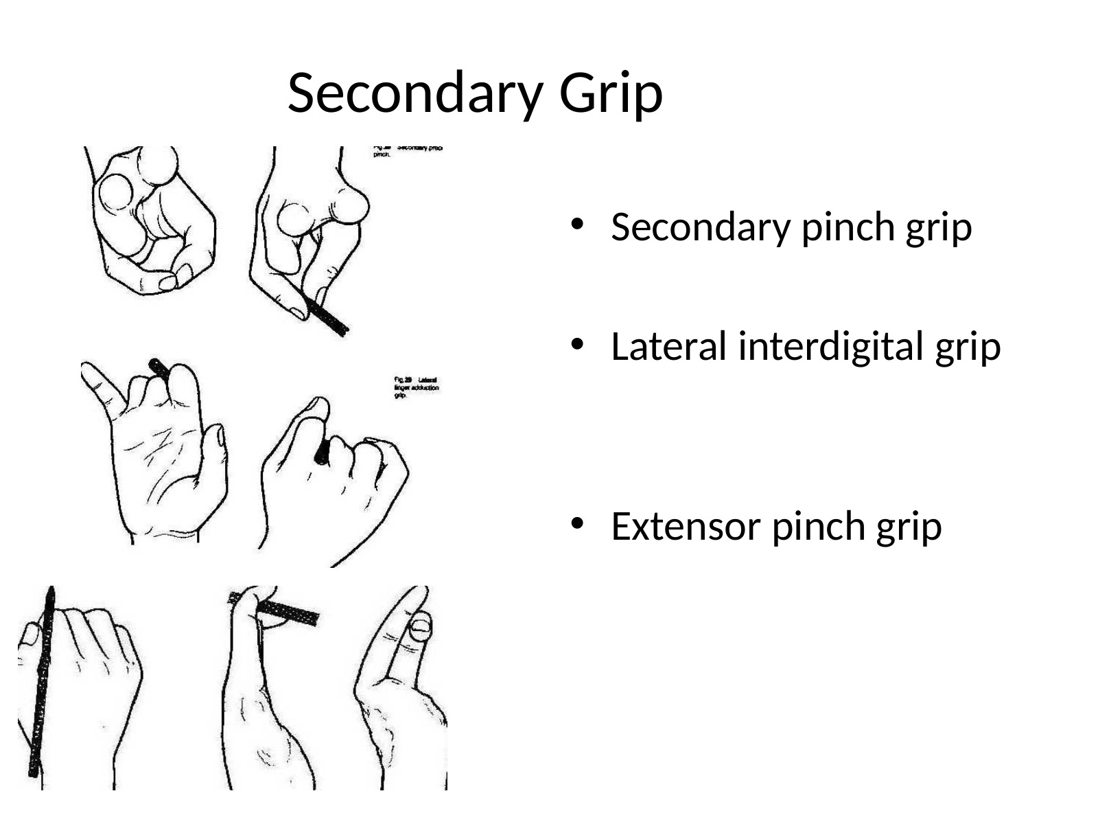 Slide 144 thumbnail